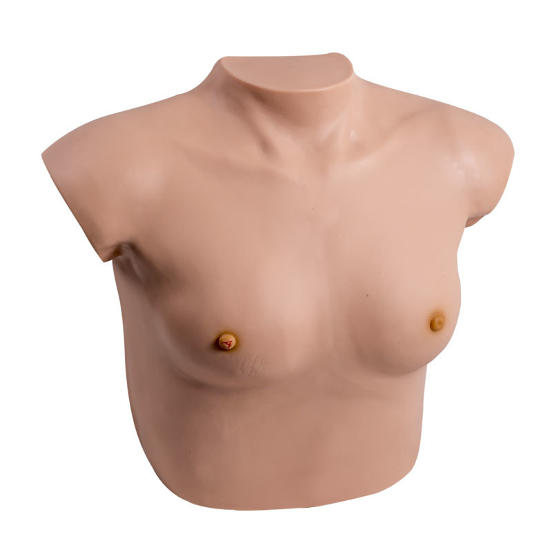 Soft Skin Female Breast Gynecologic Simulator Self Examination With Tumor