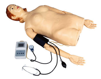Female Half - Body Palpation Simulator with Blood Pressure Measurement for School , Hospital