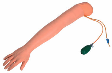 Artery Puncture Arm With Infusible Aeteries Designed For School Student Training