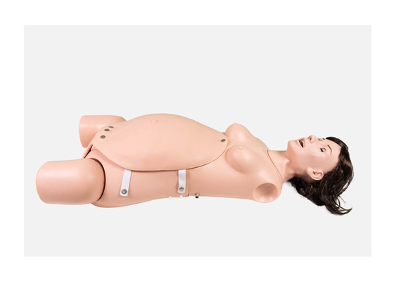 ISO PVC Ostetrics Surgery Training Manikin With Lithotomy Position